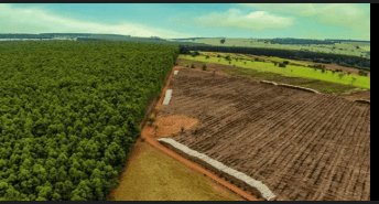 Tecnologias Inovadoras no Monitoramento de Reservas Legais